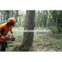 Pilarka Husqvarna 550 XP® Mark II – moc i wydajność