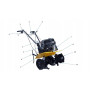 Glebogryzarka spalinowa Vega VT-55 Loncin 196 cm3